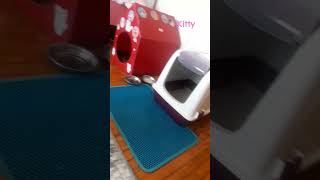 İsmi Kitty Müziği Ona Seçtirdik Ve Uyum