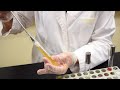 How to Inoculate a Tryptone Broth Tube for Indole Production - MCCC Microbiology