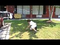 2nd story repel without rope