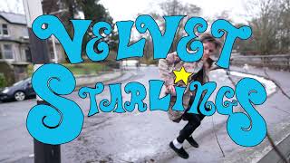 Velvet Starlings - Technicolour Shakedown Vinyl Release