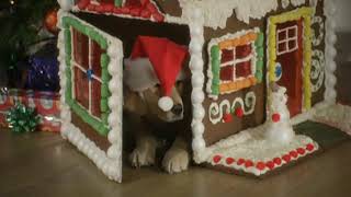 Santa Buddies Dvd Trailer 1