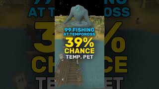 Fishing Pet