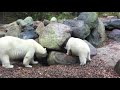 Zoo Denmark