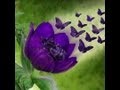 lupus journey 8-22-13 Pain Management Specialists and Pain Medication