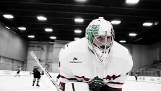 Arénas; cathédrales sans religion du hockey éternel!