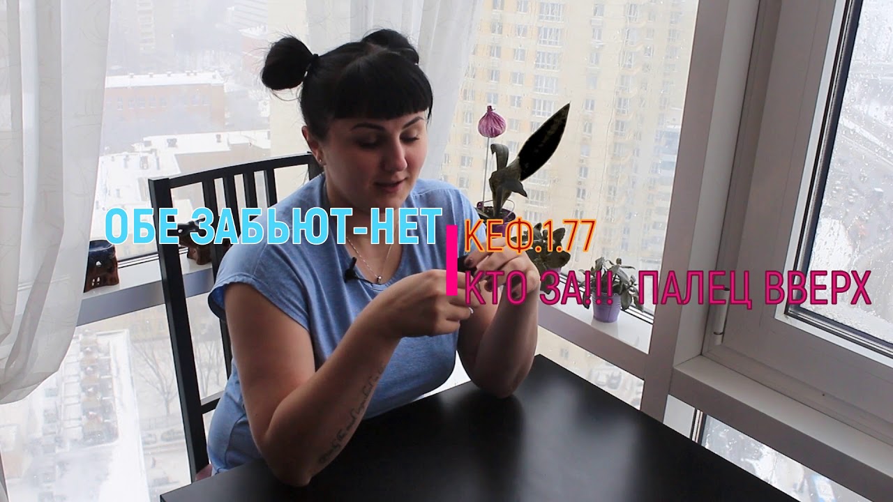 Офсайд Офсайд