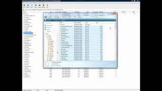 How to run SKSE using the default Skyrim Steam launcher