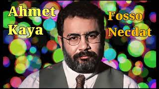 Ahmet Kaya - Fosso Necdat