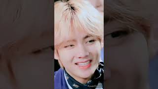 Bts Army Lovers Video V Bts Army
