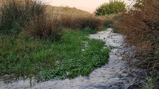 Toprak Yolda Gün Batımı Muratcık Köyü
