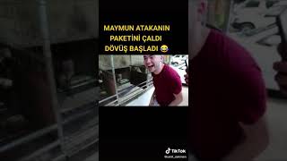 Atakan Özyurt Vs Hırsız Maymun