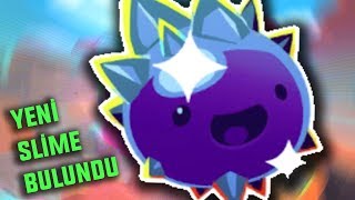 ÇOK DEĞERLİ SLİME BULDUM | Slime Rancher