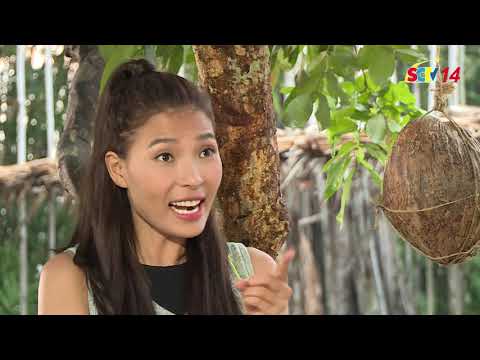 KHÔNG CẦN SOÁI CA TẬP 1 - PHIM TÌNH CẢM HÀI SCTV14 || Chân dung soái ca Gia Huy