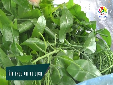 Rau Sắng đặc sản chùa Hương giá 1 triệu/ 1 kg