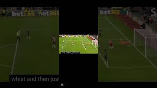 WV3qMgkAcNM Video Image