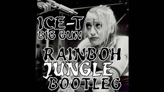 Watch IceT Big Gun video