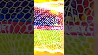 WVBGaulTSPM Video Image