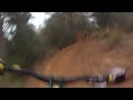Freeride Porreras Will