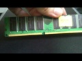 ddr1