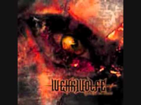 Stainless Steel Lycanthropy Video