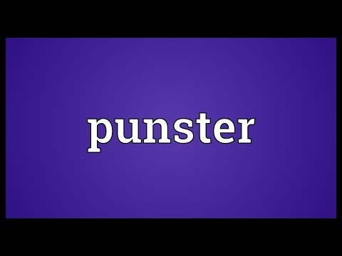 Header of punster