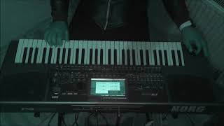 Kara Üzüm Habbesi Halo Dayı Korg Pa 900 2019 Zurna Elektro Baglama New Sound Guruldayan Kalpler