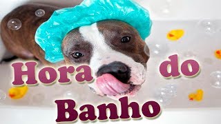 Nossa Rotina Banho Bath Routine