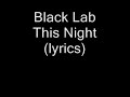 Black Lab - This Night (lyrics).wmv