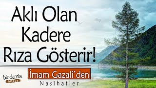 Aklı Olan Kadere Rıza Gösterir.. İmam Gazaliden Nasihatler