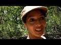 Hidden ancient Hawaiian healing temple on Maui