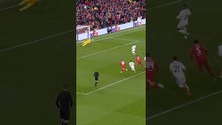 WVoCPRwPDSI Video Image