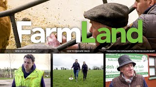 FarmLand 2020年3月12日