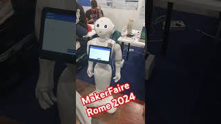 Makerfaire Rome 2024 , Faire