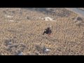 New Border Patrol Aircraft The Flat Top Paramotor Is Selected After Extensive Testing