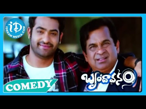 Brindavanam Movie Back2Back Comedy Scenes - Jr NTR - Samanatha...