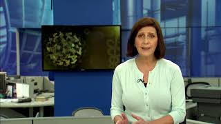 Coronavirus Westchester County Doctor: News 12 Special: COVID19