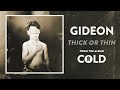 Thick Or Thin Video preview