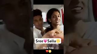 Sreesallu