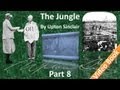 Part 8 - The Jungle by Upton Sinclair (Chs 29-31)