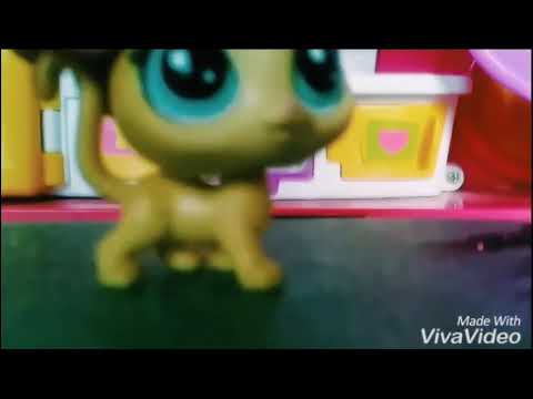 COOKING BY THE BOOK - OLD VIDEO COOKING BY THE BOOK - OLD VIDEO