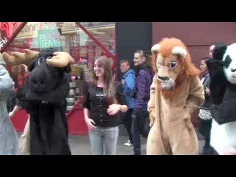 Unicorn Kid- Animal City Music Video (unofficial)