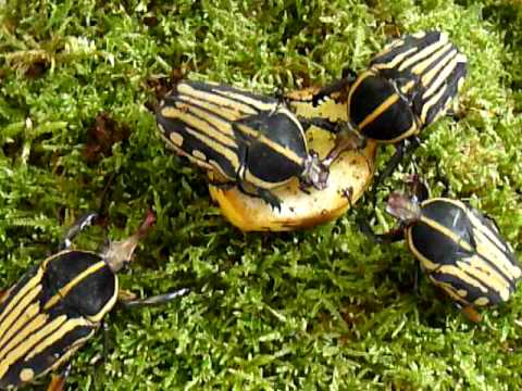 [verlinkte Grafik wurde nicht gefunden]