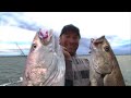 GIANT SOUTHERN BLUEFIN TUNA on Stella - YouFishTV Part 1