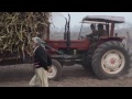 tractor stunt punjab | tractor stunt video download | tractor stunt youtube tractor stunt punjab | tractor stunt video download | tractor stunt youtube