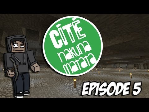 Cité Hakuna Matata | Résumé Minage Préparation devent |...