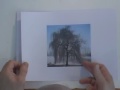 Watercolor Lesson - Weeping Willow Tree