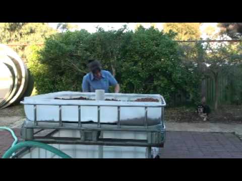 Building an ibc aquaponic system - YouTube