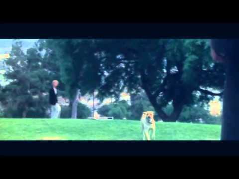 TERA HE KARAM DARK ANGELS REMIX