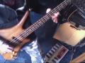 Bass Trip 1