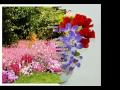 Meedha Bangla Song Ai Buke Ato Jala Pure Gase Mon images Meedha Bangla Song Ai Buke Ato Jala Pure Gase Mon